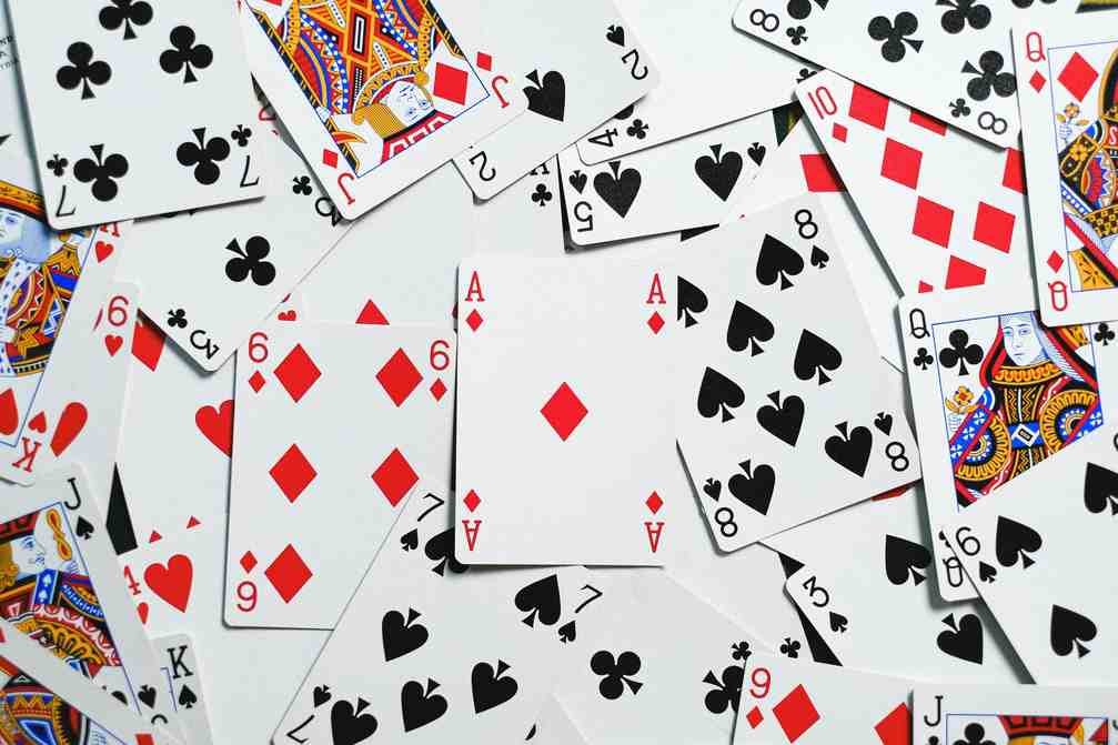 https://vinyl-casinos.net https://vinyl-casinos.net