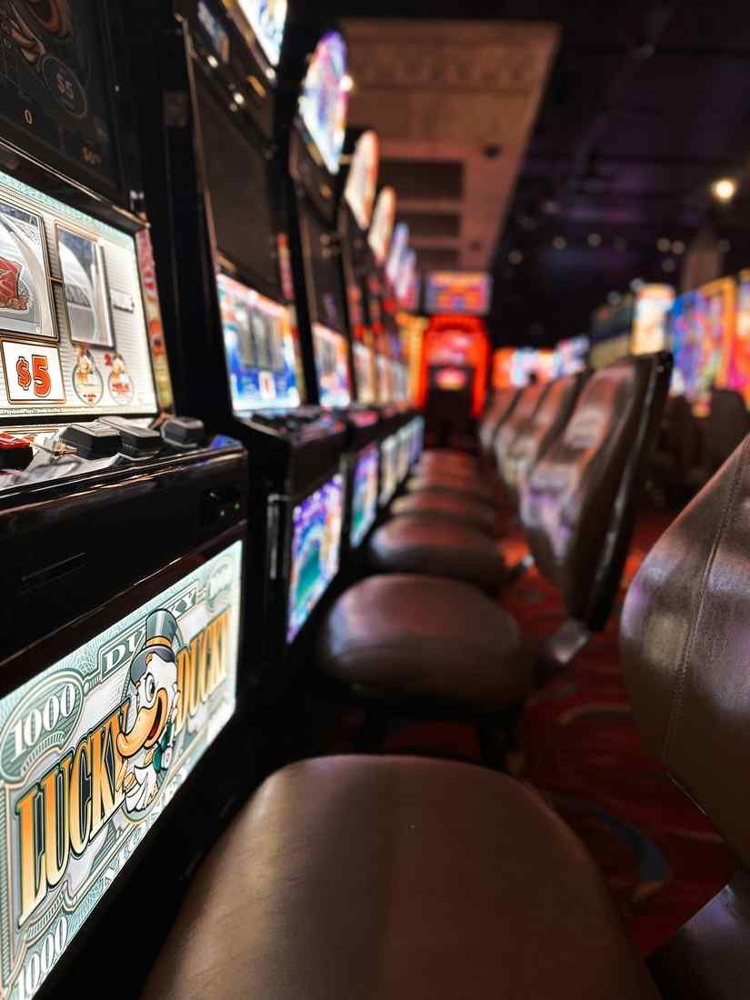 https://dazardcasinos.org https://dazardcasinos.org